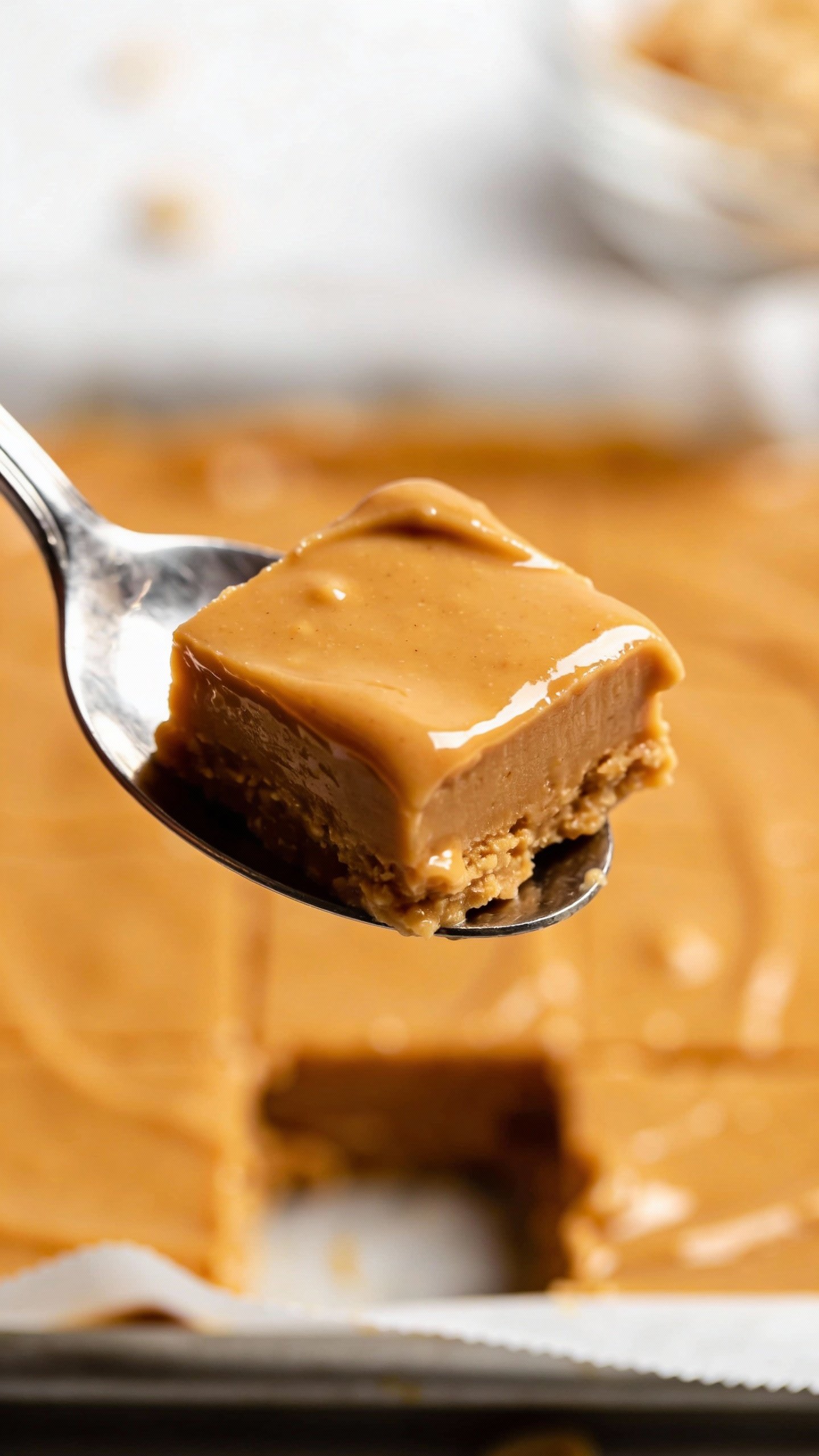 spoonful of glossy keto peanut butter fudge, studio lighting