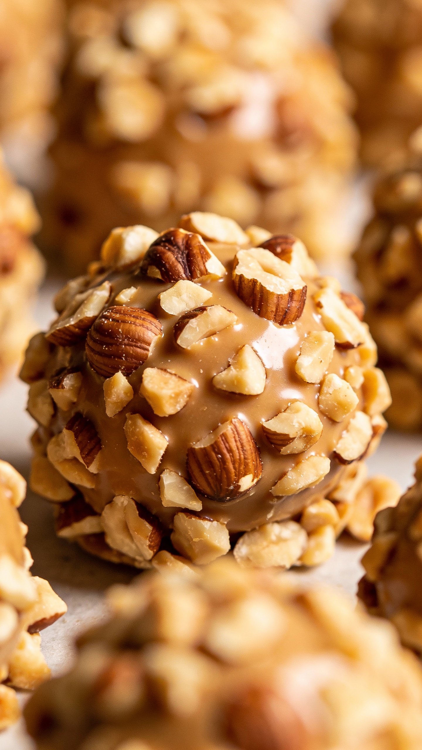 single keto truffle coated in finely chopped hazelnuts, macro