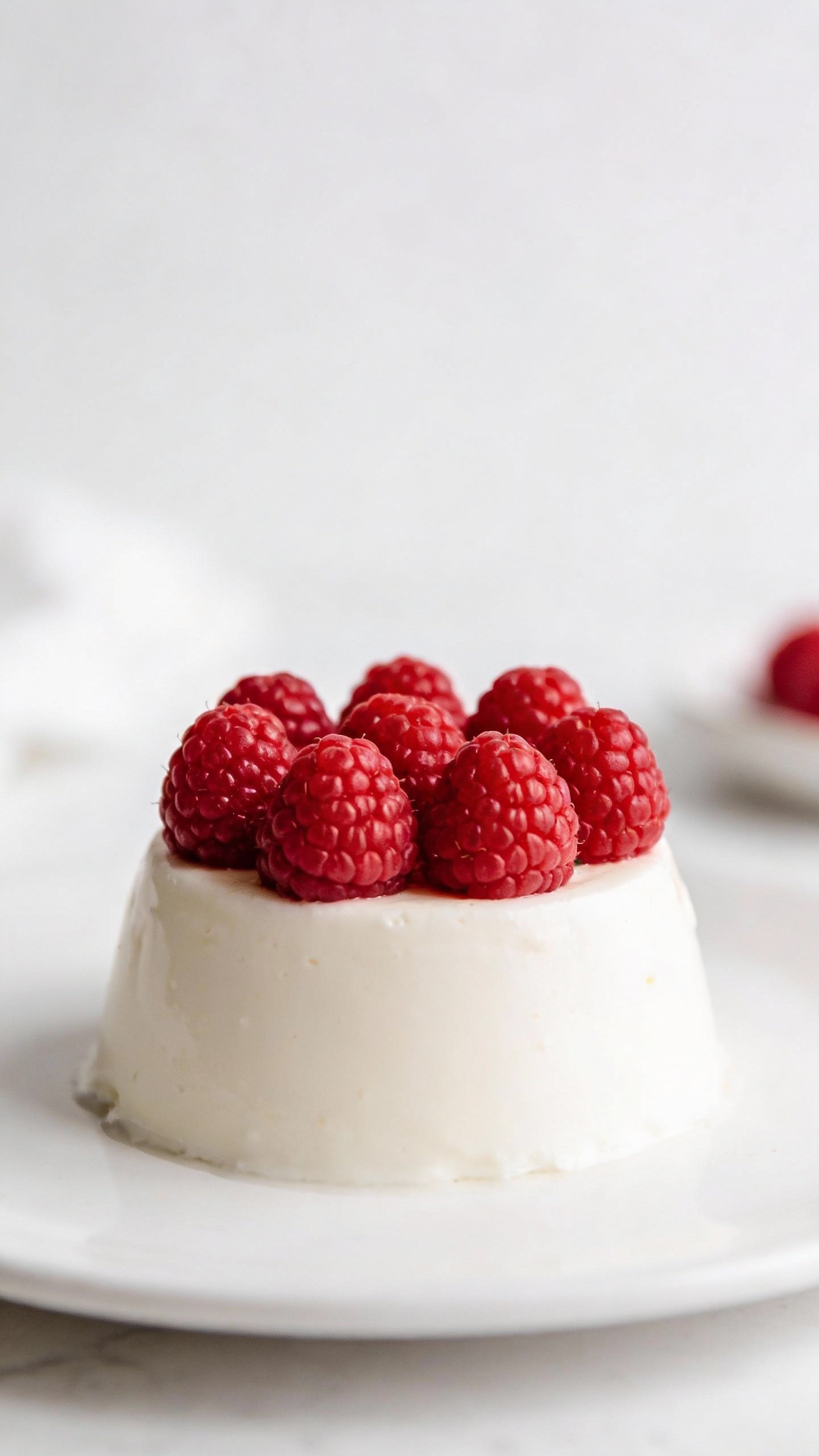 single chilled keto panna cotta topped with raspberries, studio light
