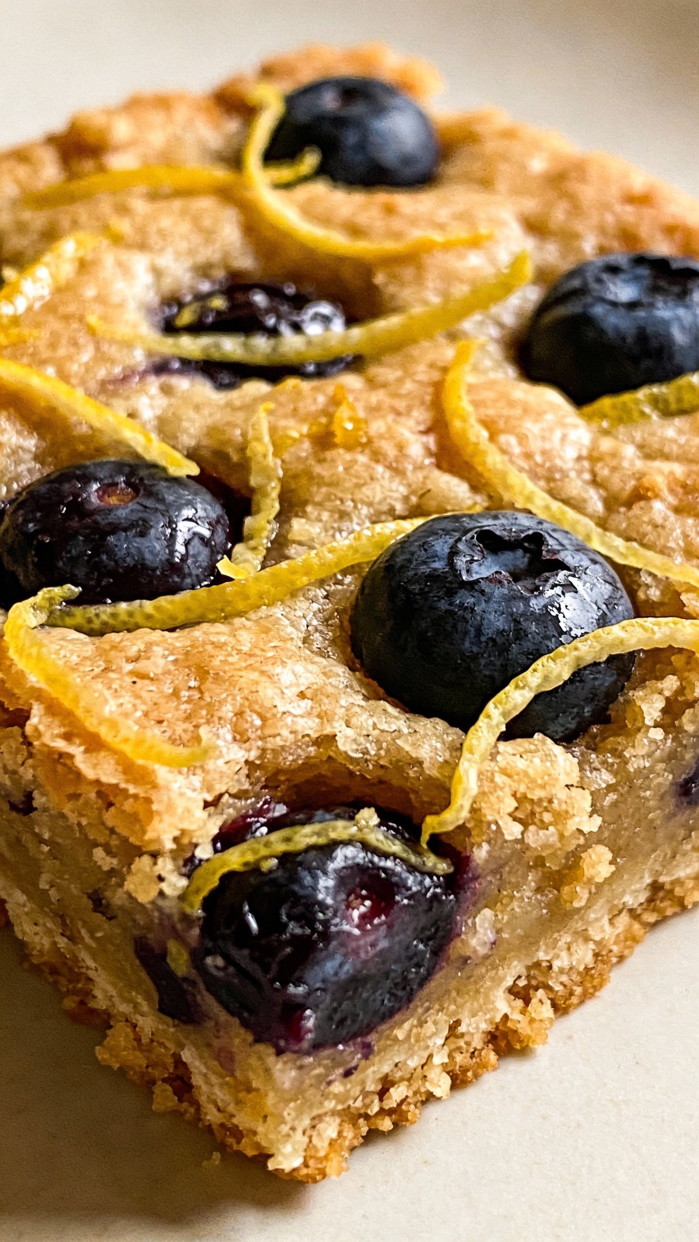 macro shot of lemon zest-topped keto blueberry bar