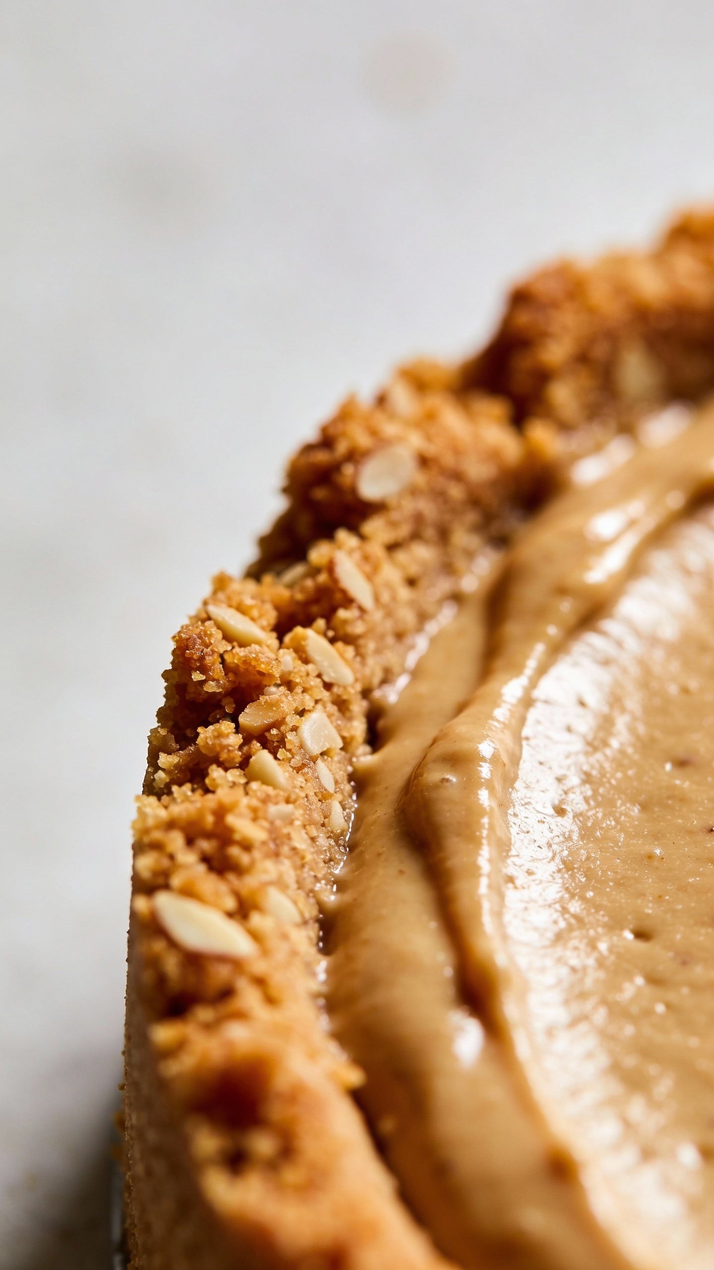 almond flour crust edge of keto peanut butter cheesecake, macro shot