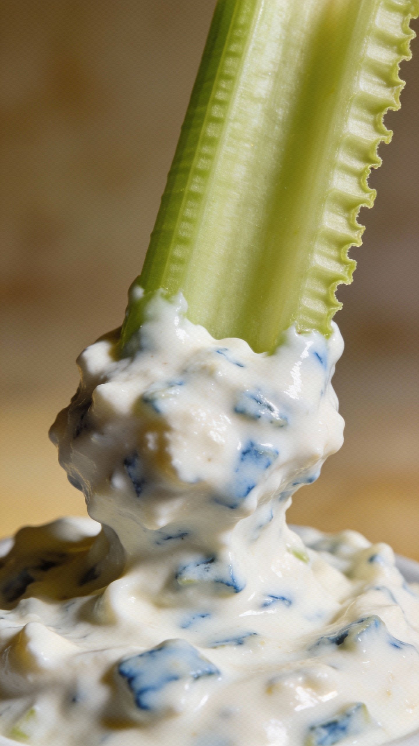 celery stick dipped in blue cheese dressing, studio closeup
