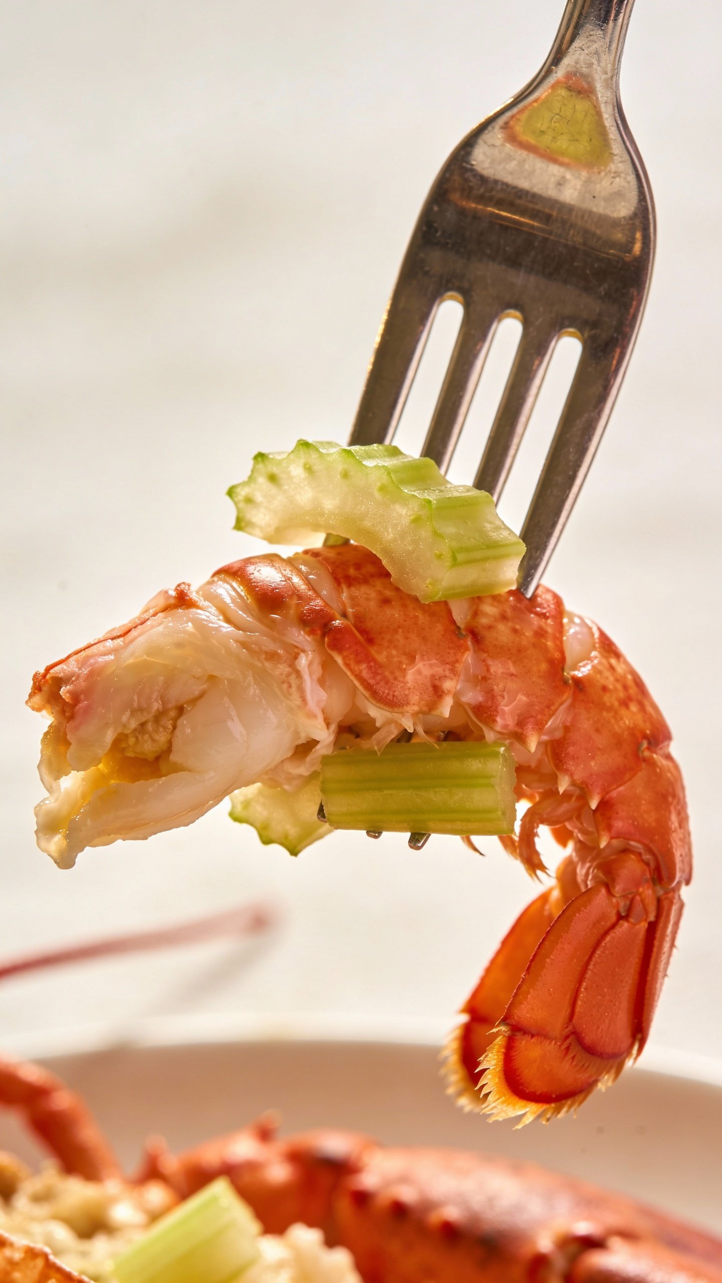 closeup of lobster claw meat on fork, celery crunch visible