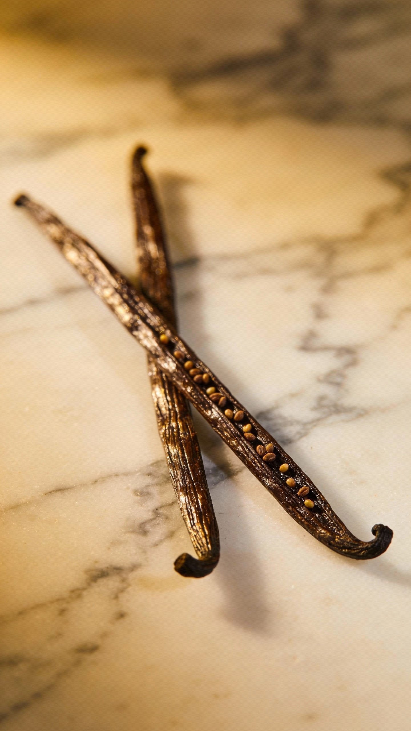 vanilla bean pod with visible seeds on marble, closeup
