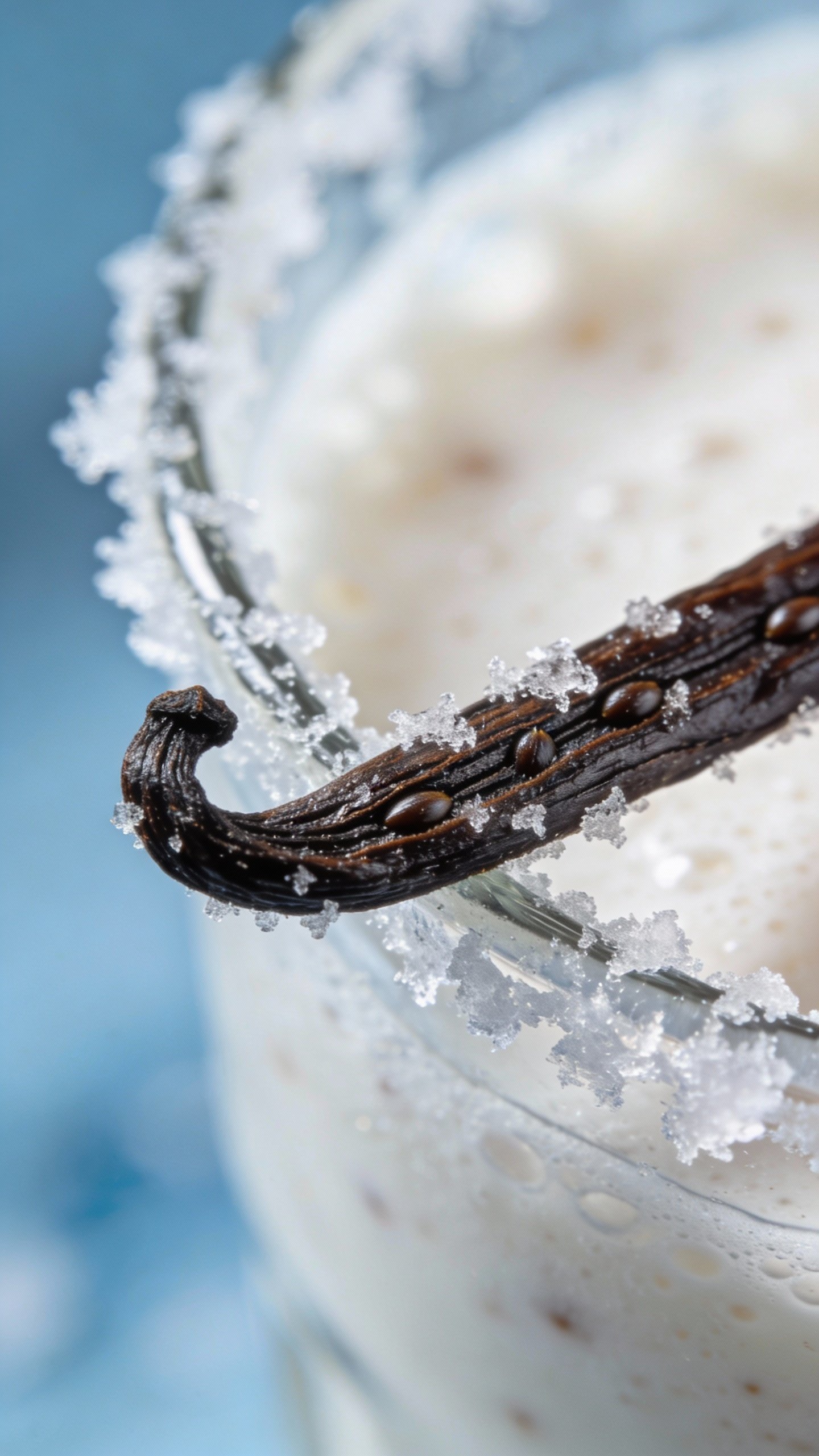 vanilla bean pod resting on frosty smoothie rim, macro shot